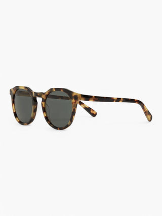 Archer Sunglasses Finlay 