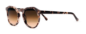 Archer Sunglasses Finlay 