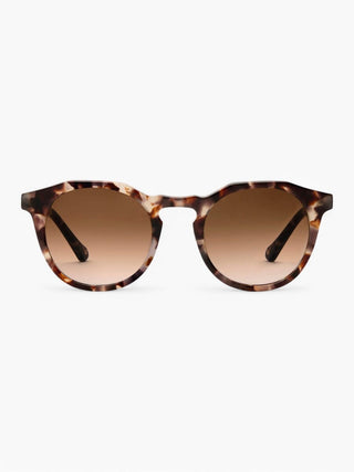 Archer Sunglasses Finlay 