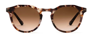 Archer Sunglasses Finlay 