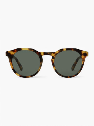 Archer Sunglasses Finlay 