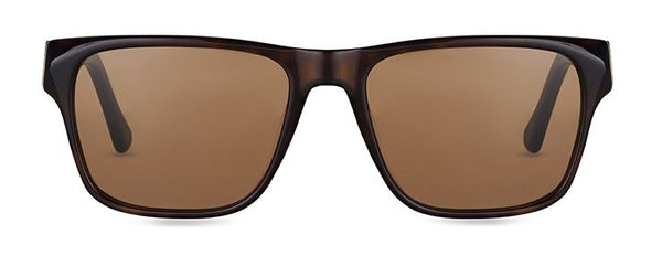 Winston Dark Havana with Brown FINLAY | Lenses Sunglasses