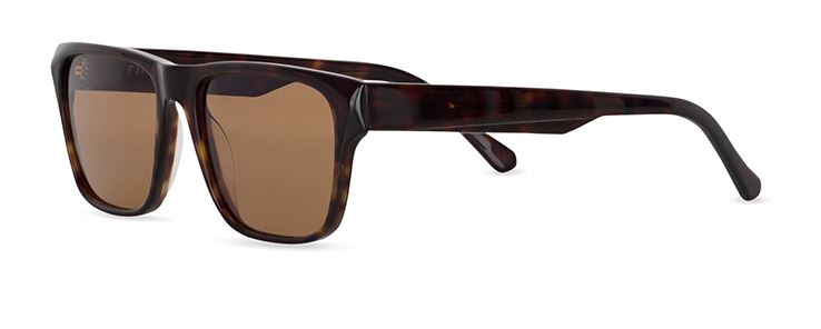 Brown with Sunglasses Winston Havana FINLAY Lenses | Dark